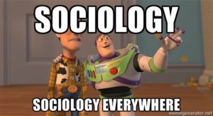 Essay on Sociology
