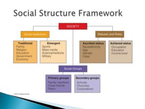 social structure sociology elements its related concepts science discussed topics