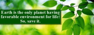 save environment essay