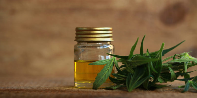 What is cannabis oil