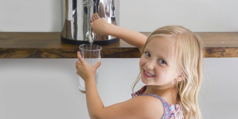 What type of water filter is best for the home