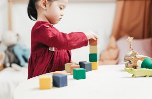 Do You Want Your Child to Have a Broad Set of Skills? Choose The Right Toy
